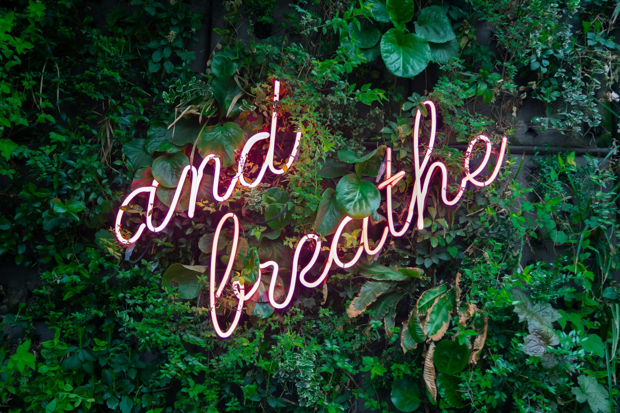 Coping und…Stress Teil 1 – Tipps zum Umgang mit Stressoren