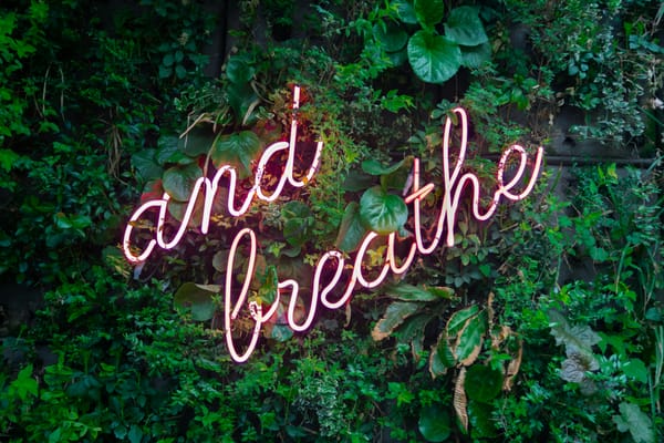 Coping und…Stress Teil 1 – Tipps zum Umgang mit Stressoren